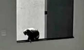 Imagem 2: CASA 175.000 Casa com 2 dormitórios