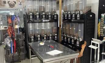 Imagem 2: PET ROQUE Galpão / depósito com 2 vagas na garagem