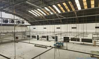 Imagem 4: GALPÃO - BARRA FUNDA - SP