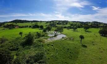 Imagem: Fazenda 3 alqueires em Anicuns - Excelente