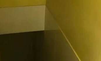 Imagem 15: Aluga se casa Casa com 2 dormitórios