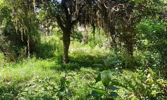 Imagem 5: À venda Terreno ou Reforma da Casa? no bairro Marechal Rondon