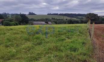 Imagem 7: Chácara em Santa Terezinha de Itaipu - PR