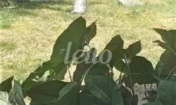 Imagem 5: Terreno null quartos à venda no(a) Vila Bertioga