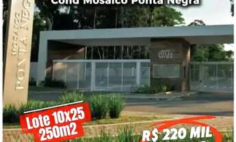 Imagem 2: TERRENO NO COND. MOSAICO PONTA NEGRA LOTE 10X25 QUITADO