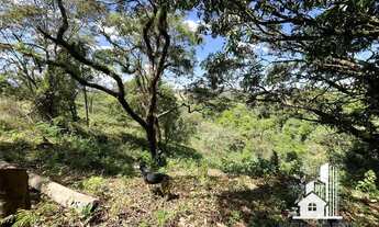 Imagem 7: Fazenda com 11.000m2 e cachoeira no meio, em Casa Branca - Brumadinho - MG