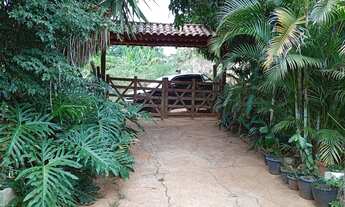 Imagem: Chácara 3000 M².Muitas plantas frutíferas/10