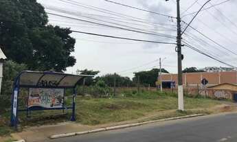 Imagem 7: Terreno Espaçoso para Alugar no Bairro Barnabé!