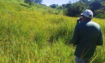 Imagem 6: SITIO EM RIANAPOLIS 2.5 ALQUEIRES