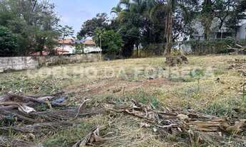 Imagem 6: Terreno Padrao - Vila Inah/Sao Paulo