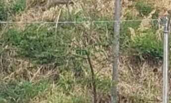 Imagem: Terreno Serra Negra