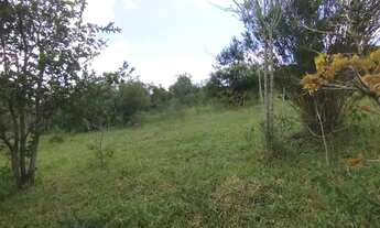 Imagem 5: Imóvel para venda tem 72000 metros quadrados em Santa Terezinha de Minas - Itatiaiuçu - MG