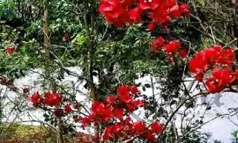 Imagem 5: Terreno em Condomínio - Condomínio Bella Vitta Caminho da Mata - Caçapava - 360m²