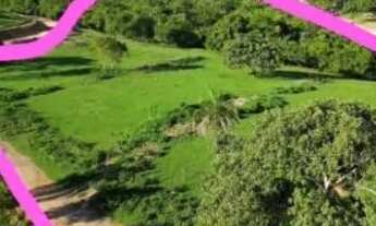 Imagem 3: Chácara ágio Chácara com venda por R$85.000