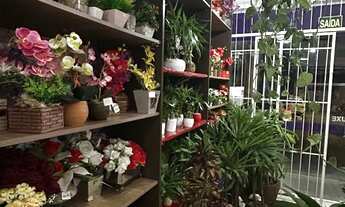 Imagem 5: Fabi Floricultura à Venda - 34 Anos - Negócio em Funcionamento