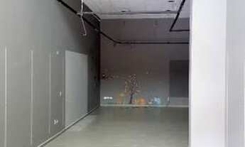 Imagem 7: Loja comercial para alugar em Vila suzana, São paulo cod:21429