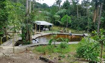 Imagem 4: Sítio 12.500 m², com piscina natural, Ramal do Pau Rosa