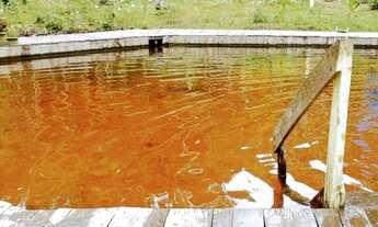 Imagem 6: Sítio 12.500 m², com piscina natural, Ramal do Pau Rosa