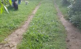 Imagem 4: Brasília - Galpão/Depósito/Armazém - Ponte Alta Norte (Gama