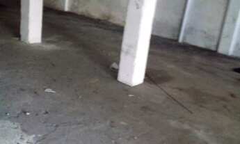 Imagem 4: Galpão com 246 m² metro Praça da Árvore