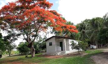 Imagem 6: Chácara no Conde na beira da estrada - Sítio das Corujas com 14.400 m² no Conde/PB