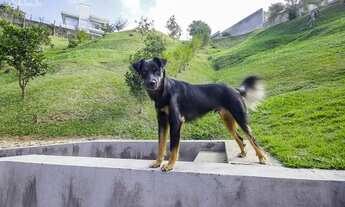 Imagem 5: Excelente casa em Pomerode, na cidade mais alemã do Brasil