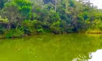 Imagem 7: Terreno para venda possui 1000m² localizado em Mairiporã - SP