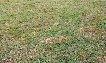 Imagem 3: Vendo uma casa de 50 mil