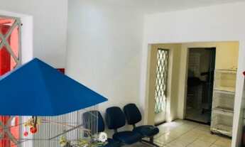 Imagem 4: Pet shop Tatuapé