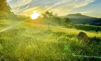 Imagem: Lote/Terreno para venda tem 600 metros quadrados