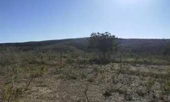 Imagem 3: Citio a venda Terreno / lote com venda por R$70.000