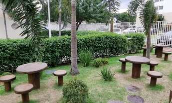 Imagem 7: OPORTUNIDADE NO CAMINHOS DA BARRA-SOL MANHÃ