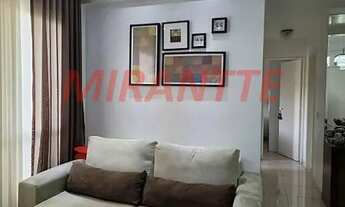 Imagem 5: Apartamento de 50m² com 2 quartos em Vila Mazzei