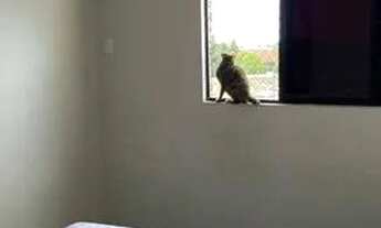 Imagem 6: Apartamento muito bem localizado à venda, 55 m² por R$ 145.000 - Ernesto Geisel - João Pes