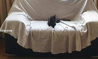 Imagem 5: Apartamento para Venda em Uberlândia, Centro, 4 dormitórios, 1 suíte, 2 banheiros, 1 vaga