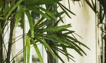 Imagem 2: Casa a venda em condomínio fechado de Fortaleza