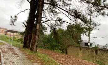 Imagem 3: Terreno 526 m campo de Santana, Tatuquara