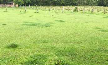 Imagem 13: Jt- Vendo terreno com uma ótima negociação