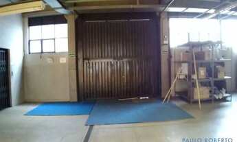 Imagem 7: GALPÃO - LIMÃO - SP