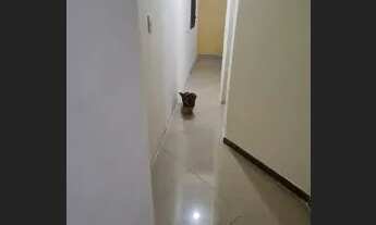 Imagem 7: Aluguel de casa Casa com 2 dormitórios