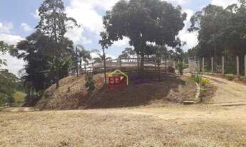 Imagem 3: Sítio com 2 dormitórios à venda, 14000 m² por R$ 680.000,00 - Sertãozinho - São José dos C