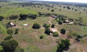 Imagem 5: Fazenda em Flores de Goiás (1.033 ha