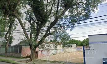 Imagem 2: Terreno Rua Pedro Viriato Souza