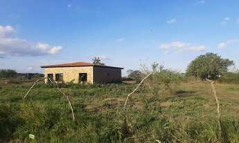 Imagem 6: Vende-se terreno com casa, tem conversa