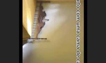 Imagem 5: Imperdível alugamos casa para o período do São João