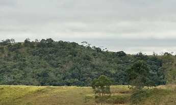 Imagem 2: 1.000M² TERRENOS PLAINOS NO CAMPO EM SANTA ISABEL APENAS 50 MINUTOS DA CAPITAL DE SP