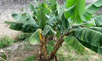 Imagem 3: Casa à venda, 3 quartos, 4 vagas, Comercial e Residencial Jardim Mariana - Pindamonhangaba