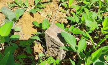 Imagem: Lote 300 MTS com 15 de frente Caná do Reino