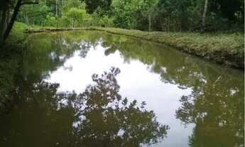 Imagem: Linda Chacara pertinho de Goiânia