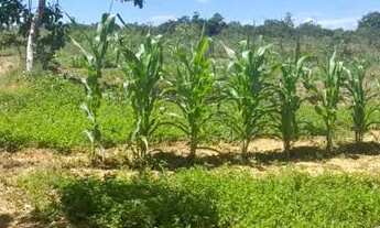 Imagem: SÍTIO A 30KM DE JURAMENTO